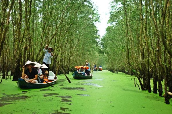 Travelers-are-going-boating-on-the-river-in-Mekong-Delta